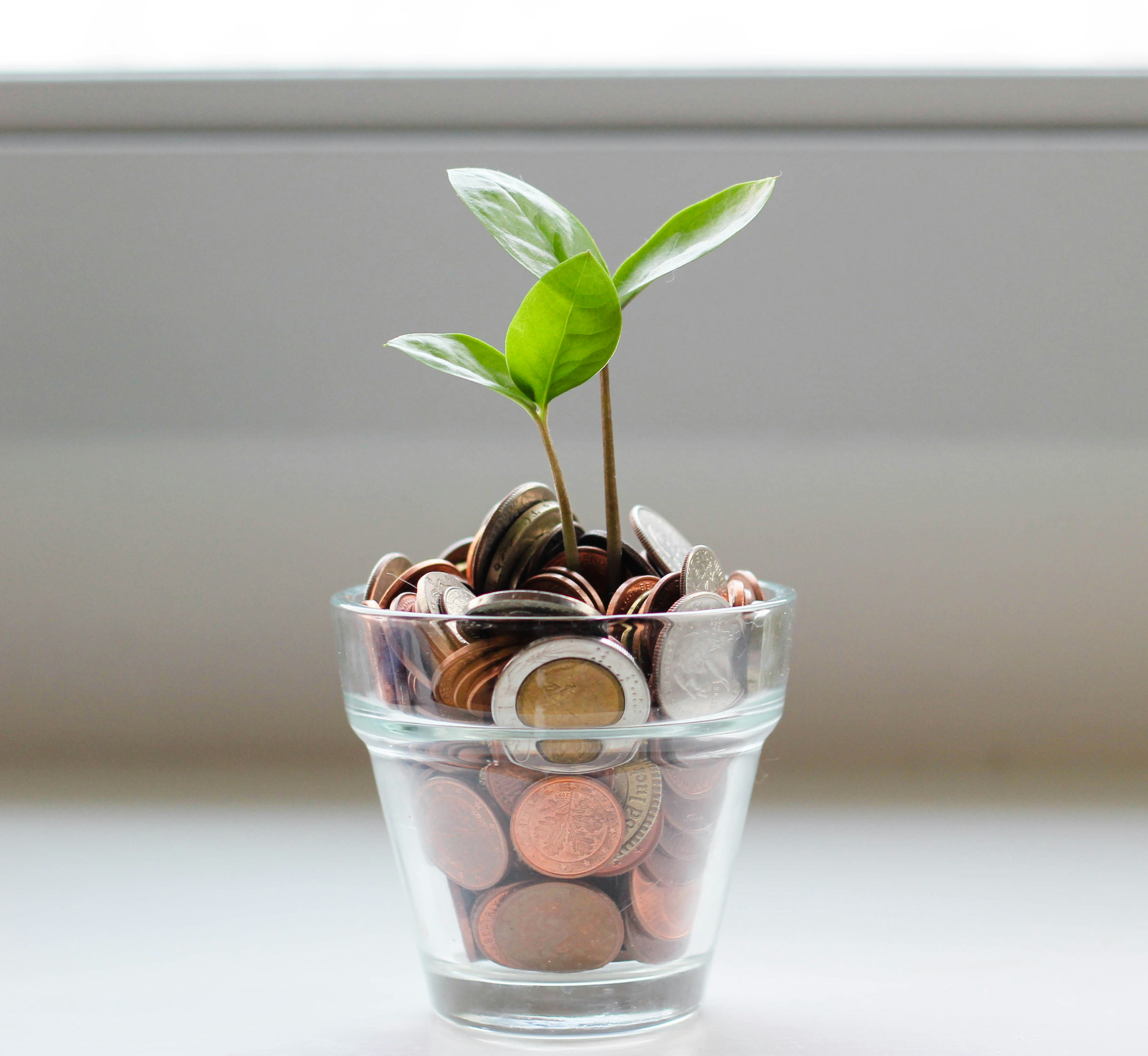Image source: /micheile-henderson-SoT4-mZhyhE-unsplash.png Strategy for Wealth Preservation